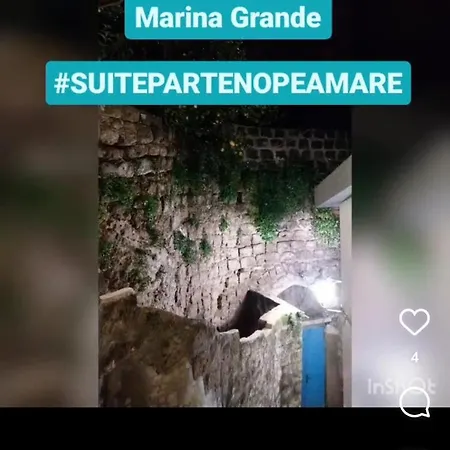 Διαμέρισμα Partenopea Mare Σορέντο