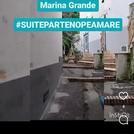 Partenopea Mare Appartamento Sorrento